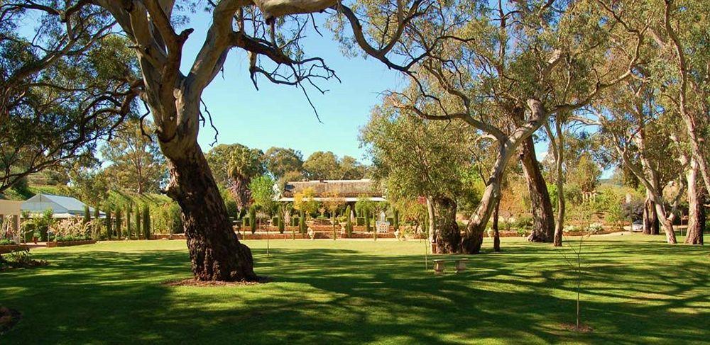 טנודה Jacobs Creek Retreat - Barossa Valley מראה חיצוני תמונה